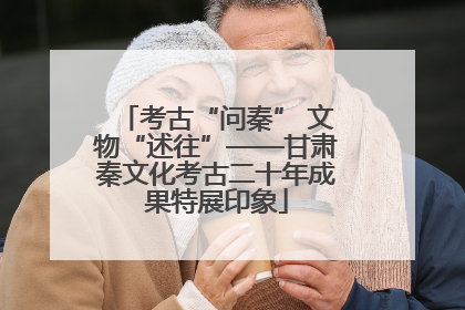 考古“问秦” 文物“述往”——甘肃秦文化考古二十年成果特展印象