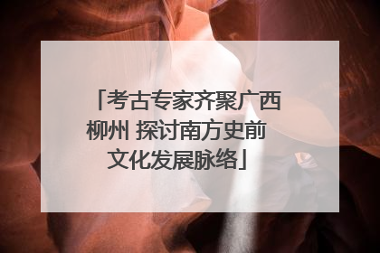 考古专家齐聚广西柳州 探讨南方史前文化发展脉络