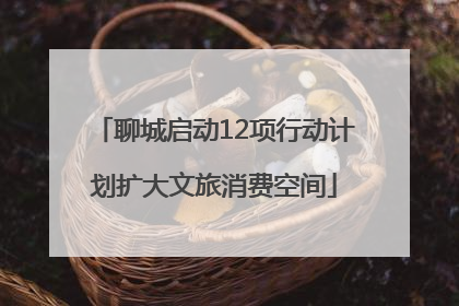 聊城启动12项行动计划扩大文旅消费空间