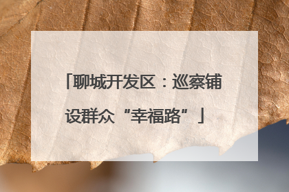 聊城开发区：巡察铺设群众“幸福路”