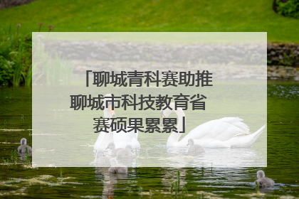 聊城青科赛助推聊城市科技教育省赛硕果累累