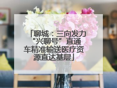 聊城：三向发力 “兴聊号”直通车精准输送医疗资源直达基层