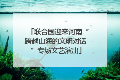 联合国迎来河南“跨越山海的文明对话”专场文艺演出