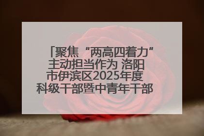 聚焦“两高四着力” 主动担当作为 洛阳市伊滨区2025年度科级干部暨中青年干部培训班开班