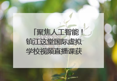 聚焦人工智能！镇江这堂国际虚拟学校视频直播课获韩美伙伴点赞