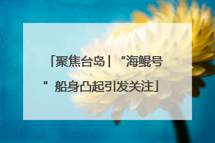 聚焦台岛│“海鲲号”船身凸起引发关注