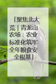 聚焦北大荒｜青龙山农场：农业标准化筑牢全年粮食安全根基
