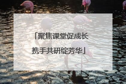 聚焦课堂促成长 携手共研绽芳华