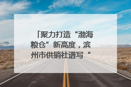 聚力打造“渤海粮仓”新高度，滨州市供销社谱写“三夏”丰收乐章