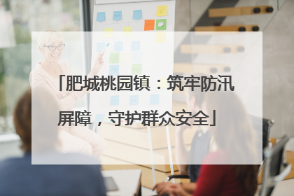 肥城桃园镇：筑牢防汛屏障，守护群众安全