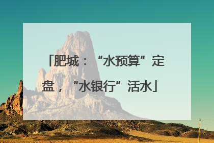 肥城：“水预算”定盘，“水银行”活水