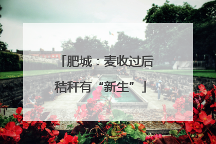 肥城：麦收过后秸秆有“新生”