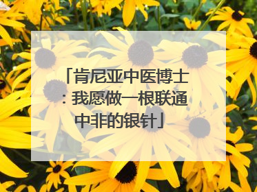肯尼亚中医博士：我愿做一根联通中非的银针
