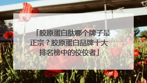 胶原蛋白肽哪个牌子最正宗？胶原蛋白品牌十大排名榜中的佼佼者