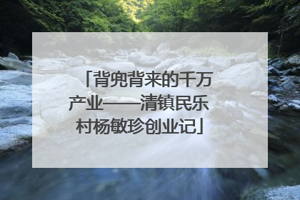 背兜背来的千万产业——清镇民乐村杨敏珍创业记