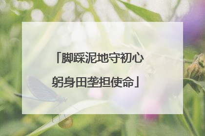 脚踩泥地守初心 躬身田垄担使命