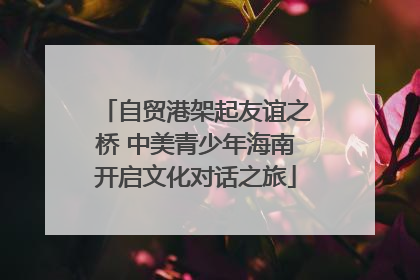自贸港架起友谊之桥 中美青少年海南开启文化对话之旅