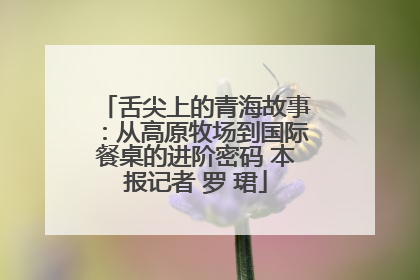 舌尖上的青海故事：从高原牧场到国际餐桌的进阶密码 本报记者 罗 珺