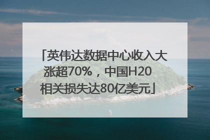 英伟达数据中心收入大涨超70%，中国H20相关损失达80亿美元
