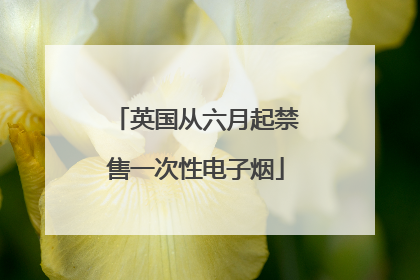 英国从六月起禁售一次性电子烟