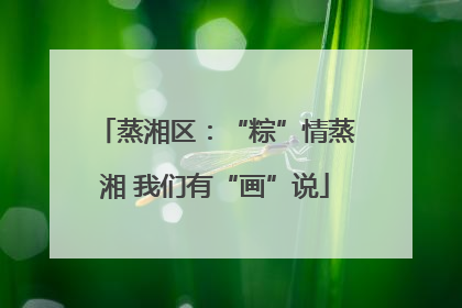 蒸湘区：“粽”情蒸湘 我们有“画”说