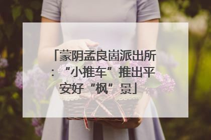 蒙阴孟良崮派出所：“小推车”推出平安好“枫”景