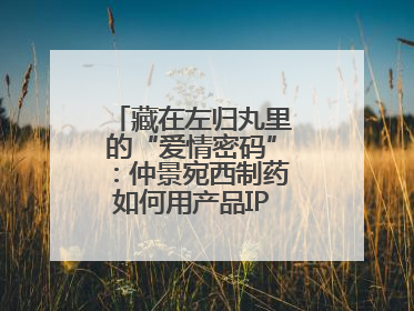 藏在左归丸里的“爱情密码”：仲景宛西制药如何用产品IP讲好品牌故事