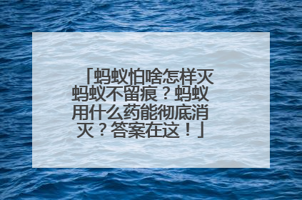 蚂蚁怕啥怎样灭蚂蚁不留痕？蚂蚁用什么药能彻底消灭？答案在这！