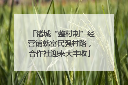 诸城“整村制”经营铺就富民强村路，合作社迎来大丰收