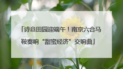 诗意田园迎端午！南京六合马鞍奏响“甜蜜经济”交响曲