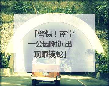 警惕！南宁一公园附近出现眼镜蛇