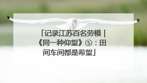 记录江苏百名劳模｜《同一种仰望》⑤：田间车间都是希望