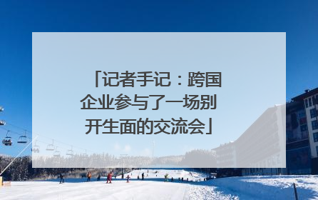 记者手记：跨国企业参与了一场别开生面的交流会