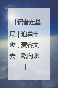 记者走基层｜追着丰收，麦客夫妻一路向北