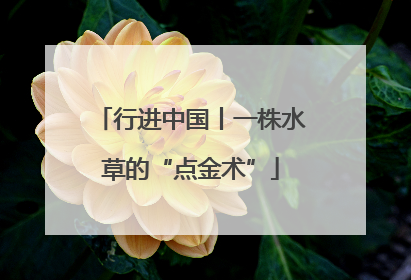 行进中国丨一株水草的“点金术”