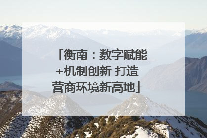 衡南：数字赋能+机制创新 打造营商环境新高地