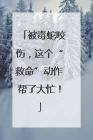 被毒蛇咬伤，这个“救命”动作帮了大忙！