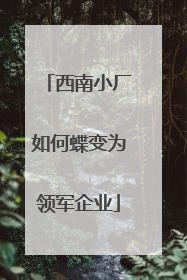 西南小厂如何蝶变为领军企业