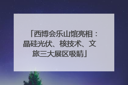 西博会乐山馆亮相：晶硅光伏、核技术、文旅三大展区吸睛