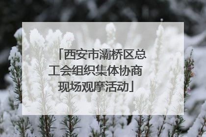 西安市灞桥区总工会组织集体协商现场观摩活动
