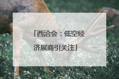西洽会：低空经济展商引关注
