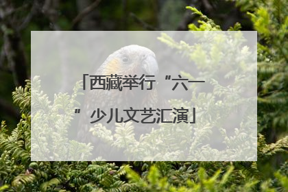 西藏举行“六一”少儿文艺汇演