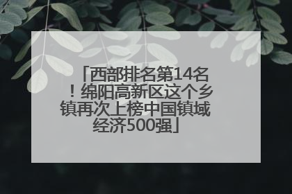西部排名第14名！绵阳高新区这个乡镇再次上榜中国镇域经济500强