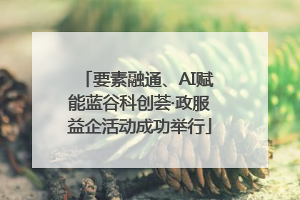 要素融通、AI赋能蓝谷科创荟·政服益企活动成功举行