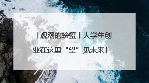 观潮的螃蟹丨大学生创业在这里“望”见未来