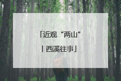 近观“两山”丨西溪往事