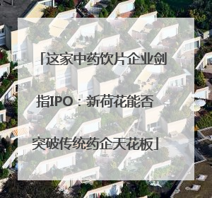 这家中药饮片企业剑指IPO：新荷花能否突破传统药企天花板