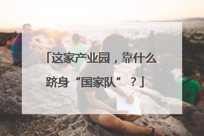 这家产业园，靠什么跻身“国家队”？