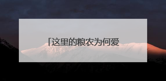 这里的粮农为何爱种“面包小麦”？