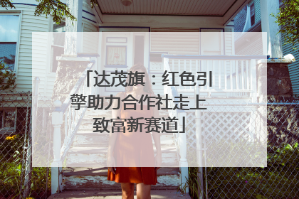 达茂旗：红色引擎助力合作社走上致富新赛道